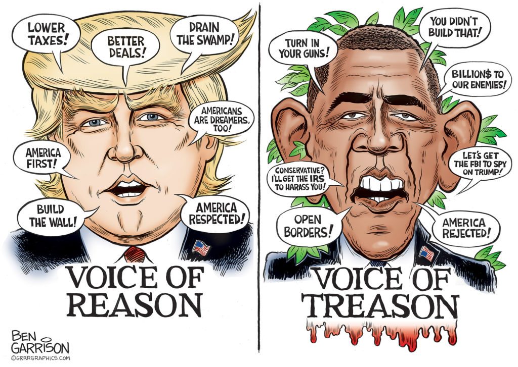 Reason vs. Treason cartoon by Ben Garrison