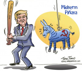 The Midterm Piñata
