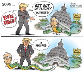 Drain The Swamp Again