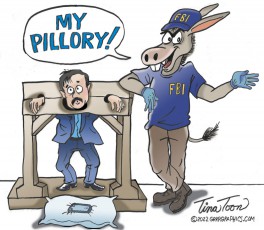 My Pillory- FBI Raids Mike Lindell