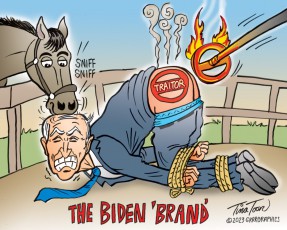 The Biden Brand