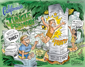 California Jungle Primary Fraud