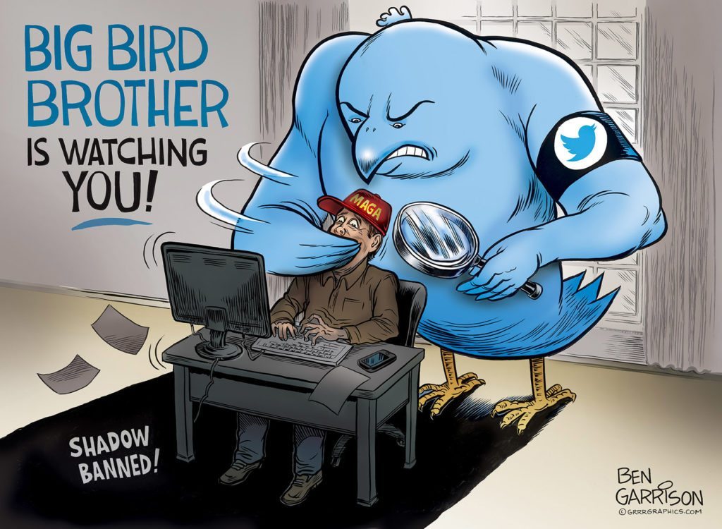 Twitter is Big Bird Brother 