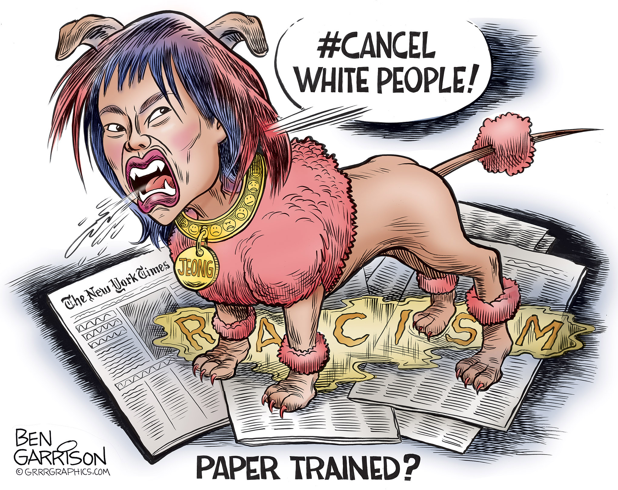 sarah_jeong_cartoon.jpg