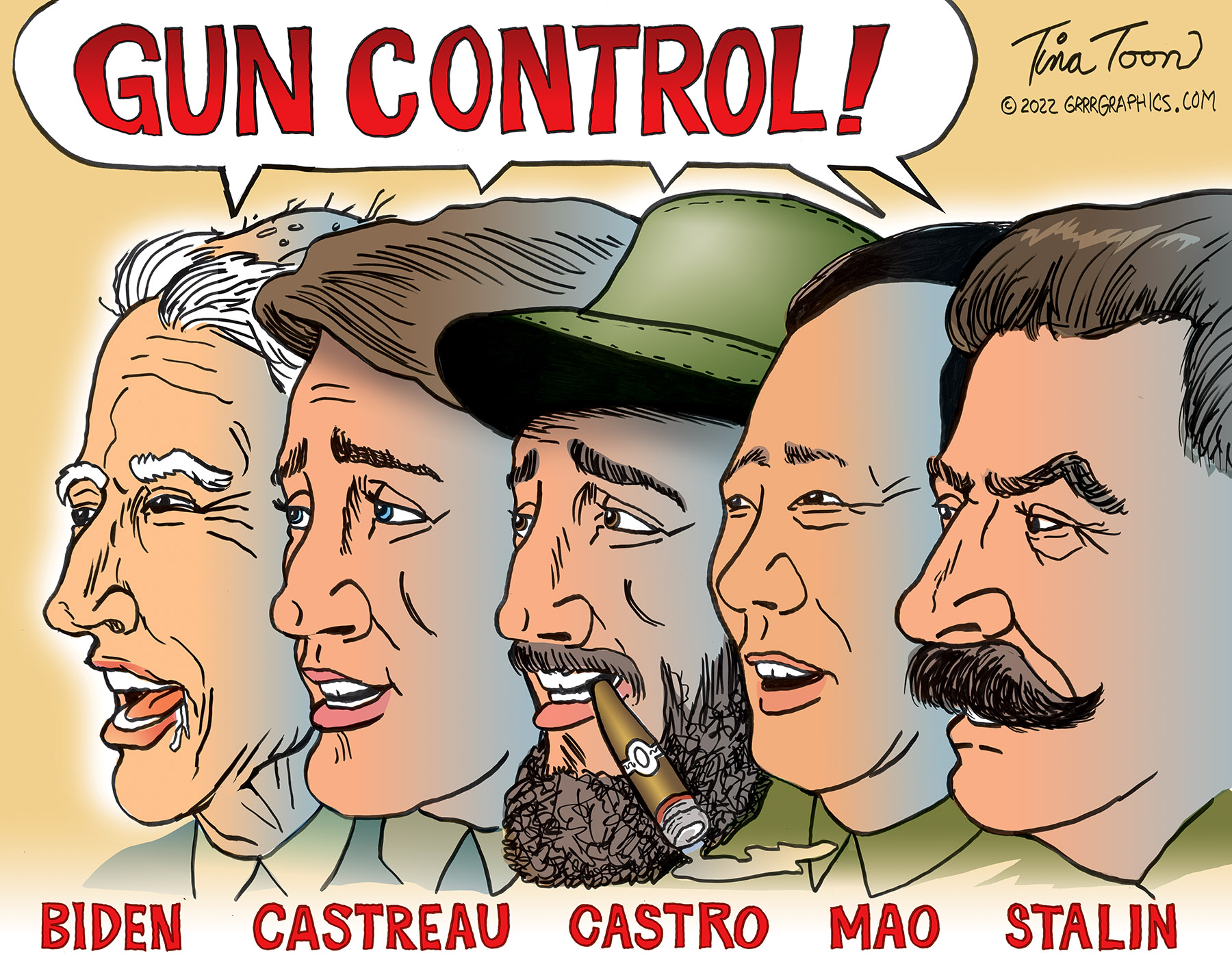 gun_control-tina-toon.jpg