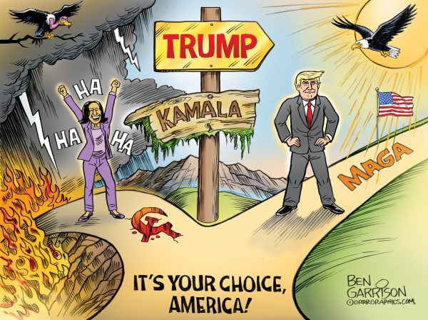 Which Way America Limited Edition Signed Print (Collectors Item)
