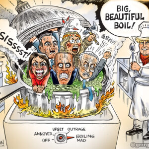 Democrats Boiling Mad Signed Print