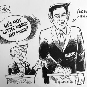 Big Marco Rubio Original Art