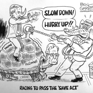 Pass The SAVE ACT Original Art Collectors Item